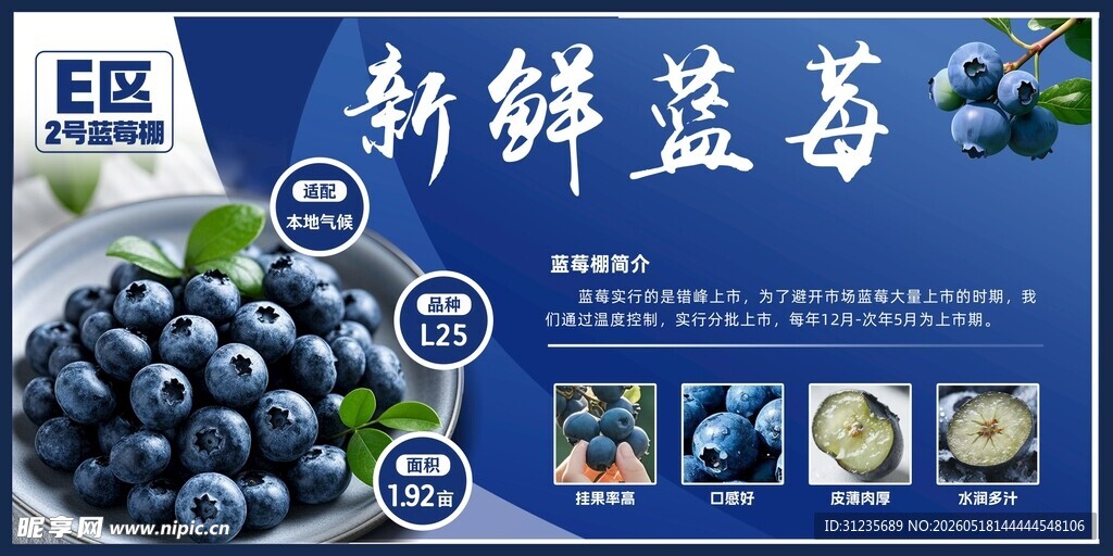 新鲜蓝莓宣传海报展示
