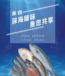 深海美味鱼类共享画面