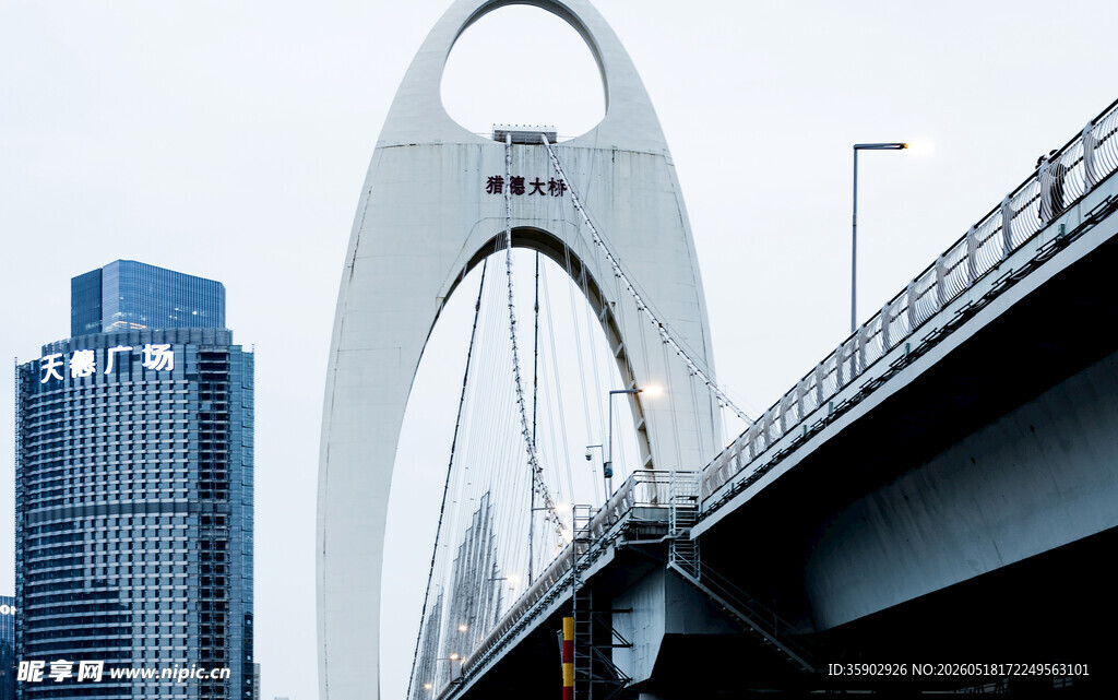 现代桥梁与城市建筑景观