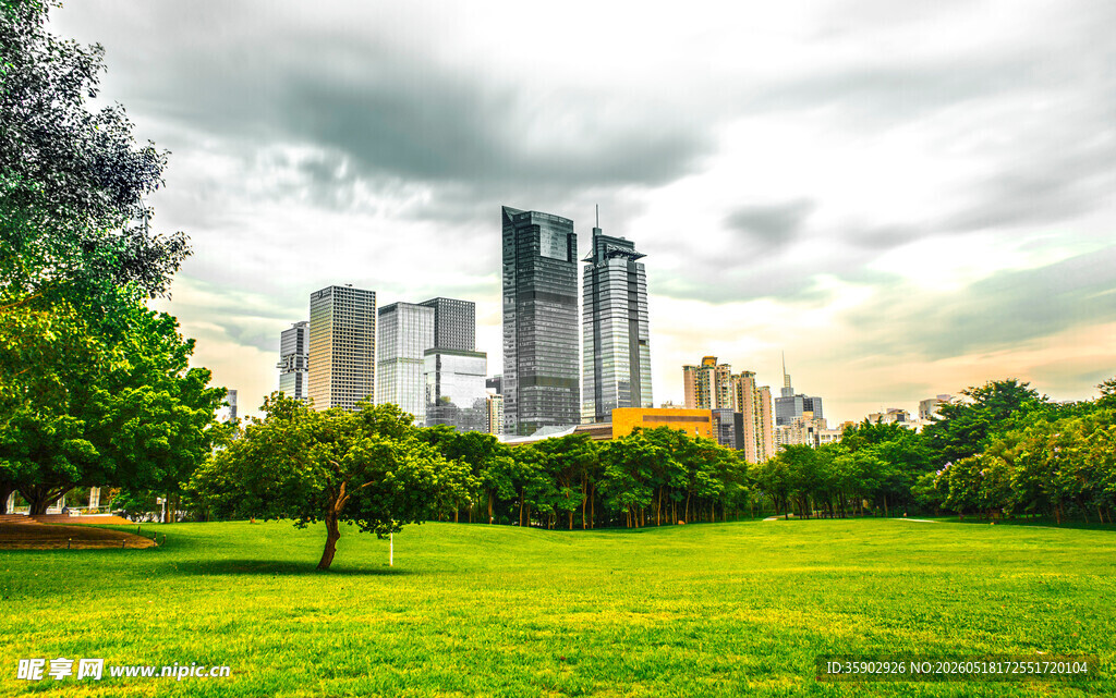 城市绿地旁的高楼景观