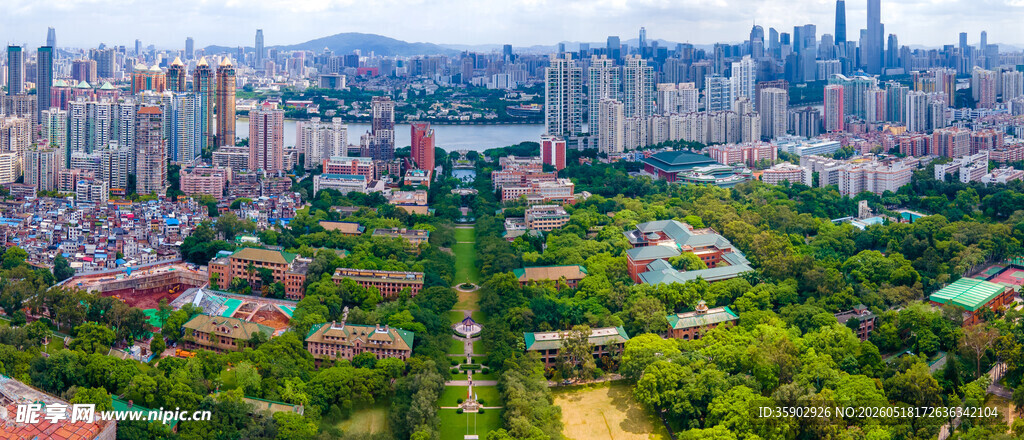 城市中的绿色景观公园