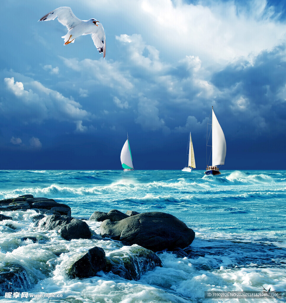海上帆船与翱翔海鸥