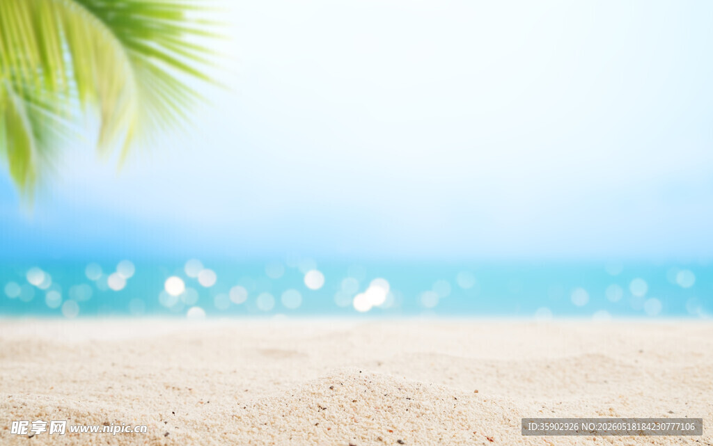 夏日海滩风光