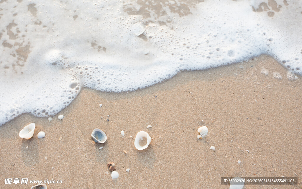 沙滩上的海浪与散落贝壳