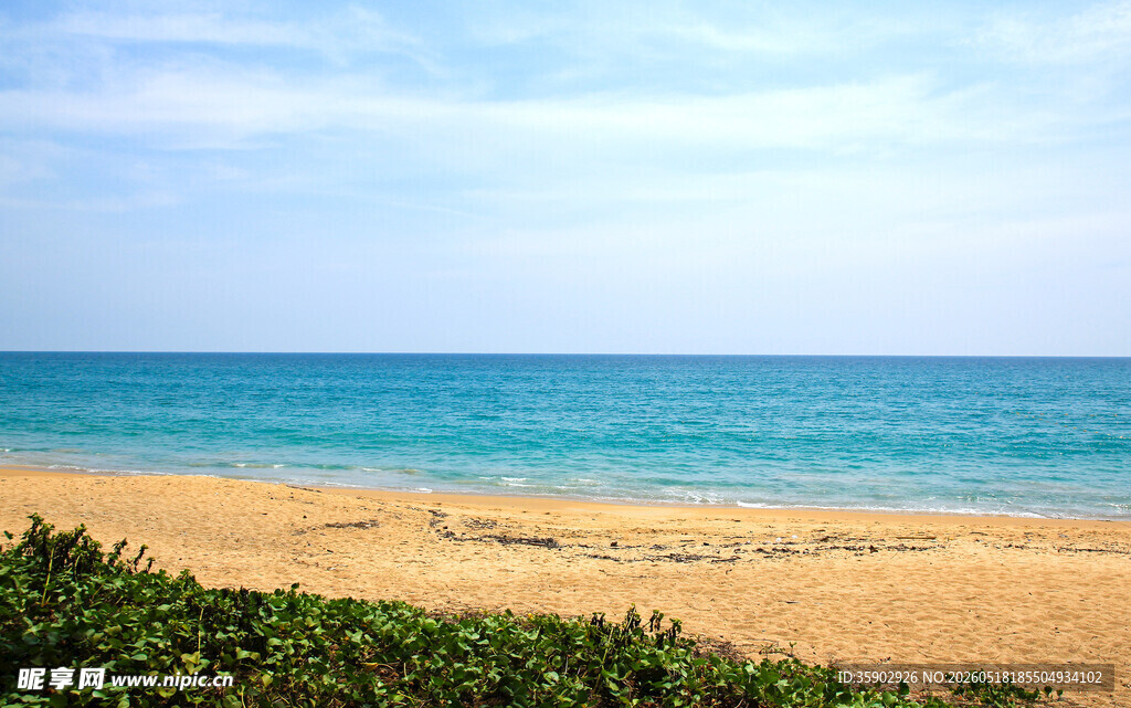 美丽海滨风光