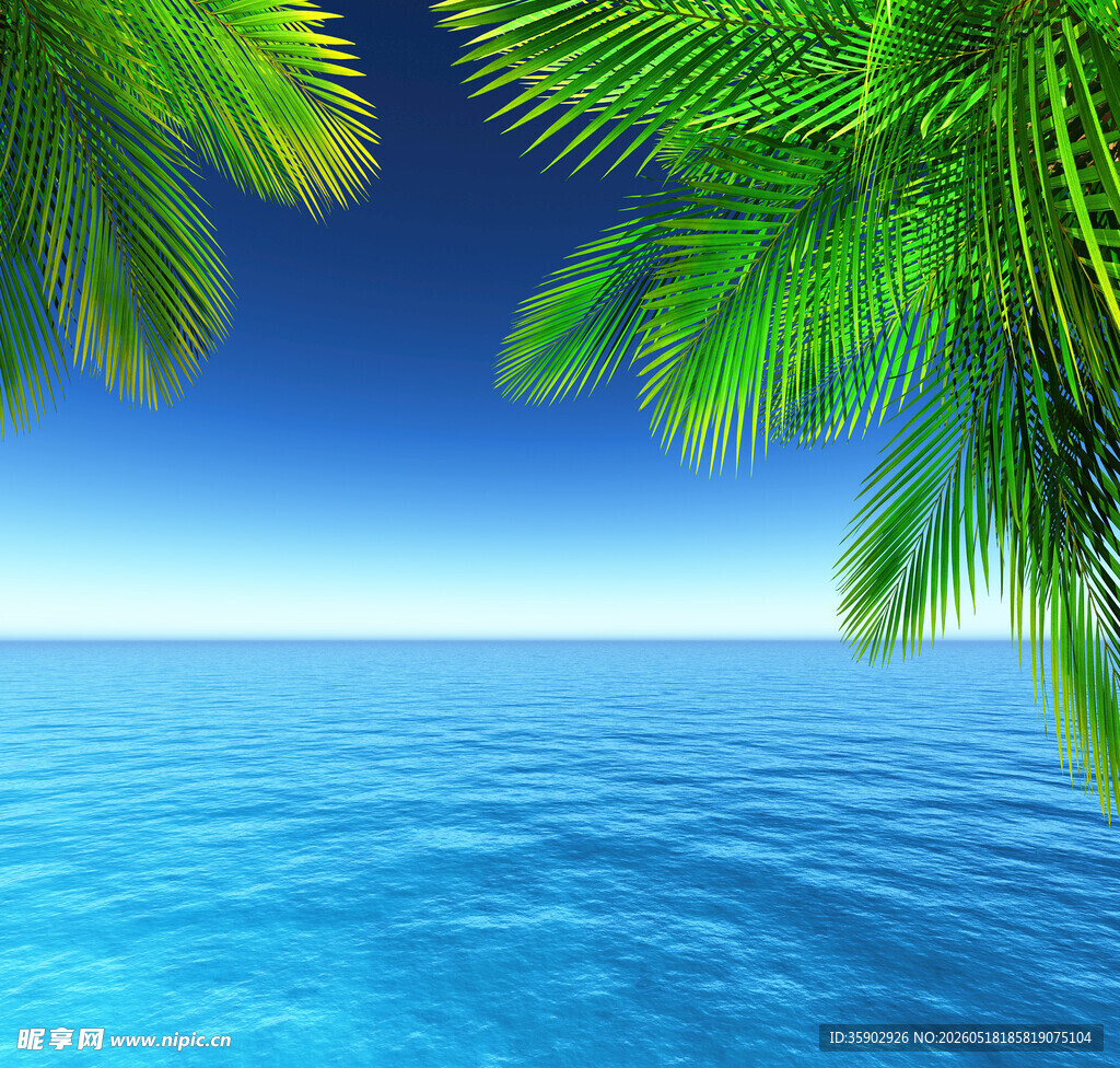 海边椰树与蔚蓝大海
