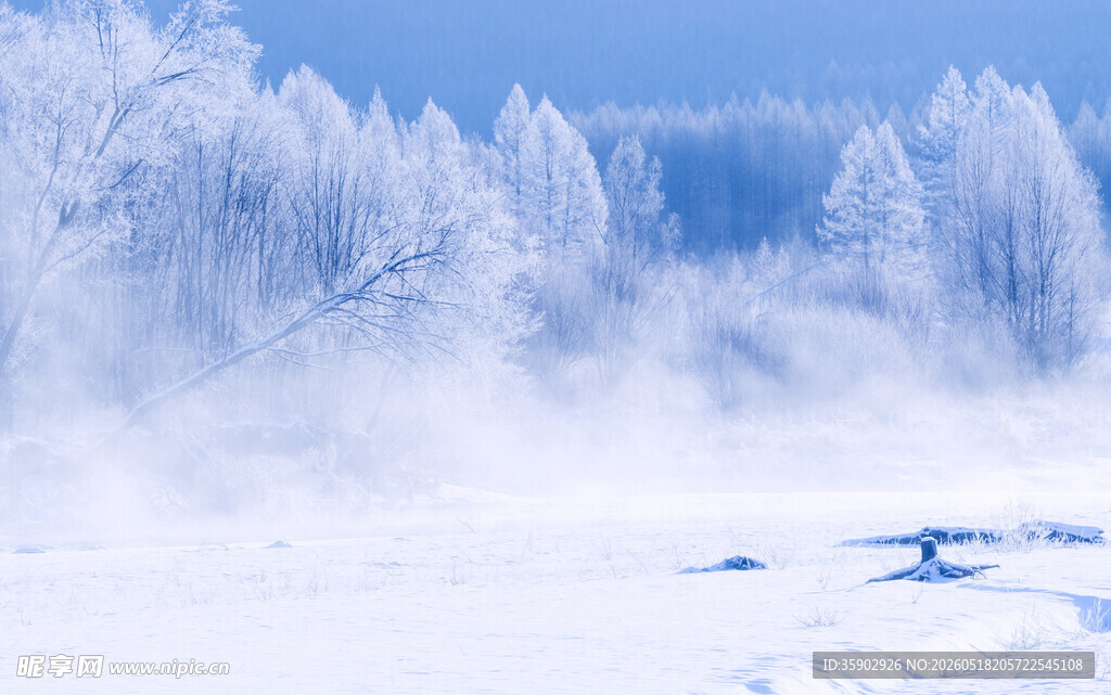 冬日雪林迷雾景观