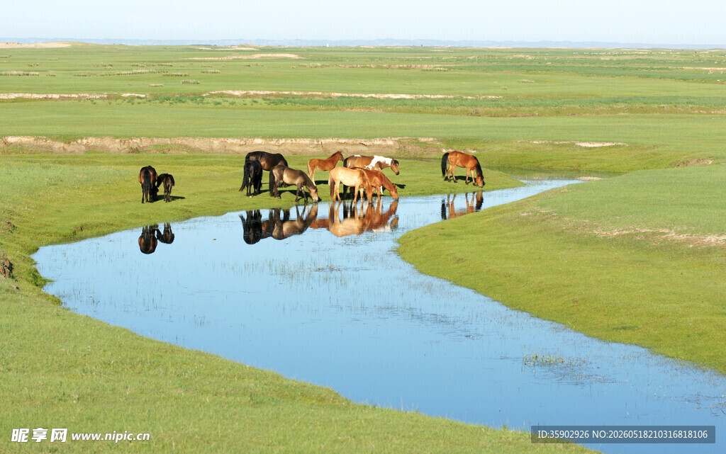 田野中农机在积水处作业