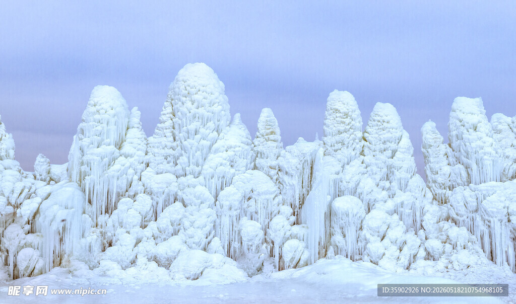 雪覆树木的冬日美景