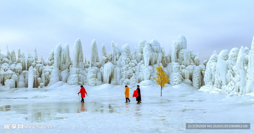冬日雪地中的人群景观