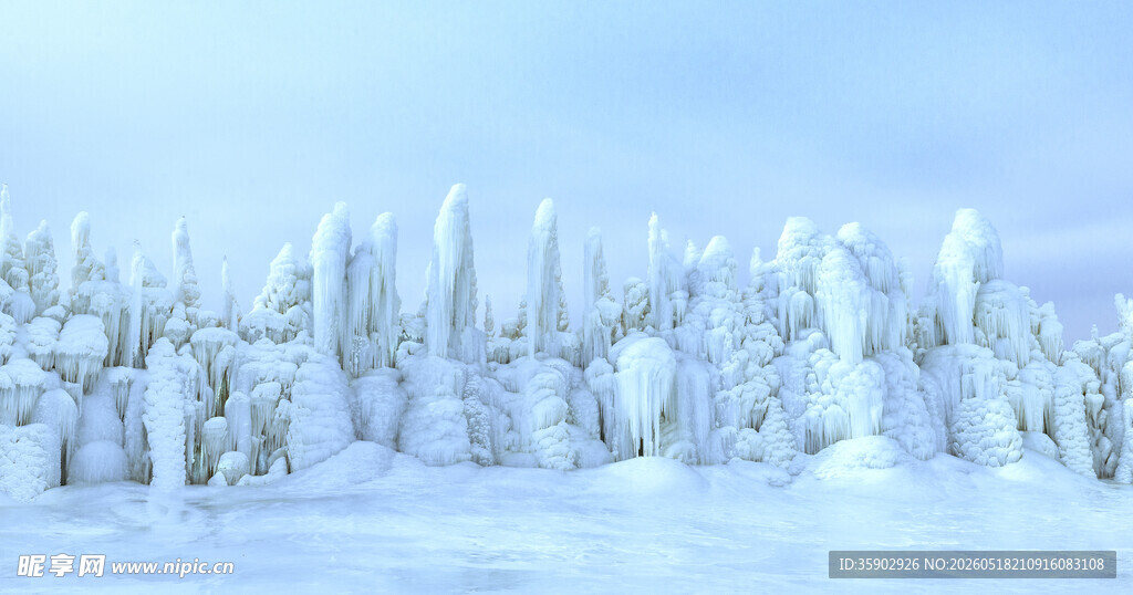 冬日冰雪林景