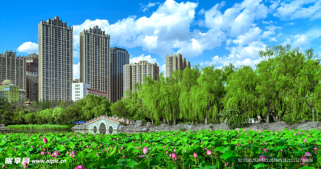 城市畔繁花绿树景观