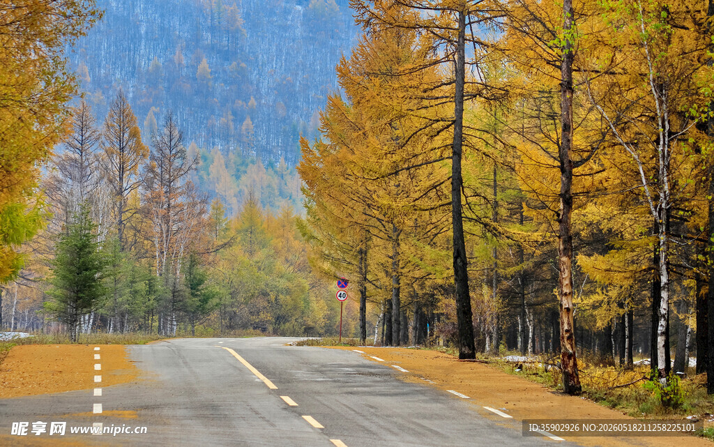 秋日林间公路美景