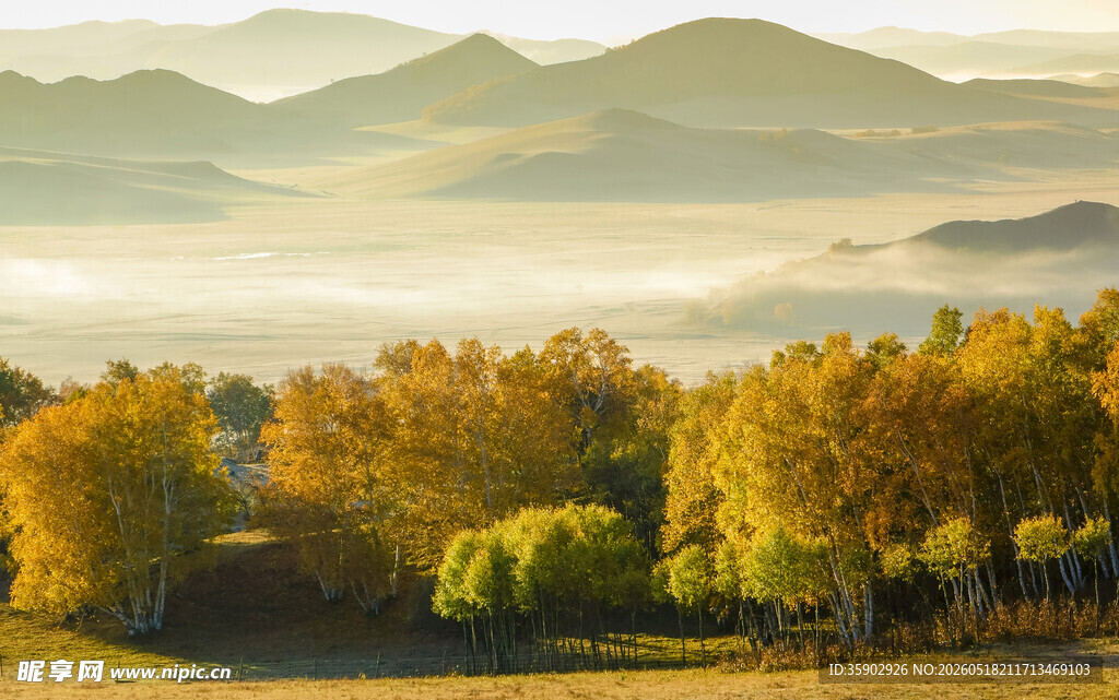秋日山林晨景