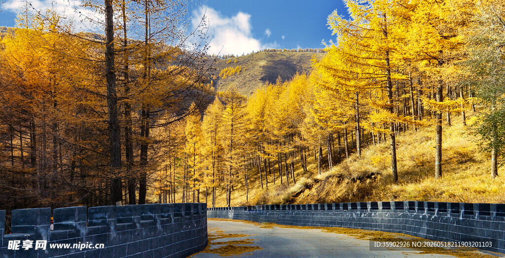 秋日山林间的蜿蜒公路
