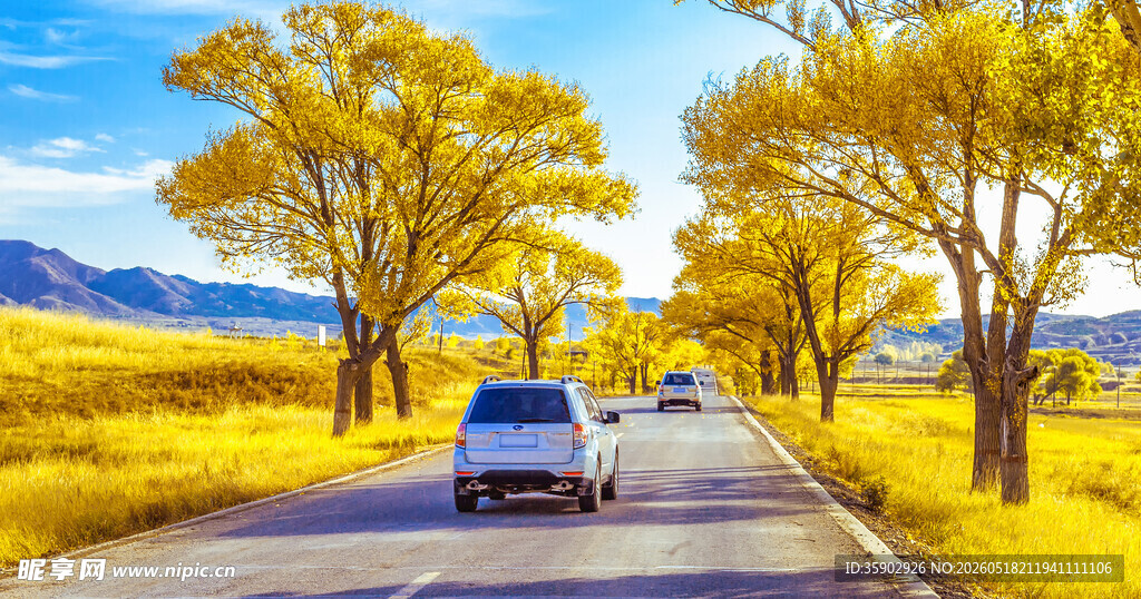 秋日公路自驾风景