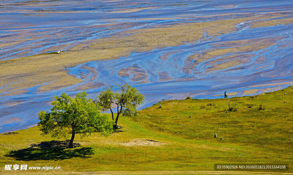 草原湖畔孤树美景风光