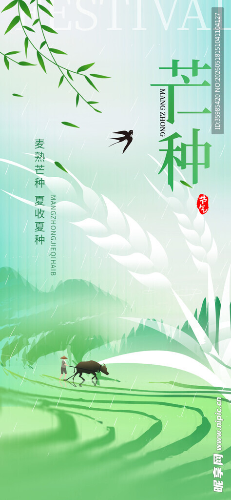 芒种