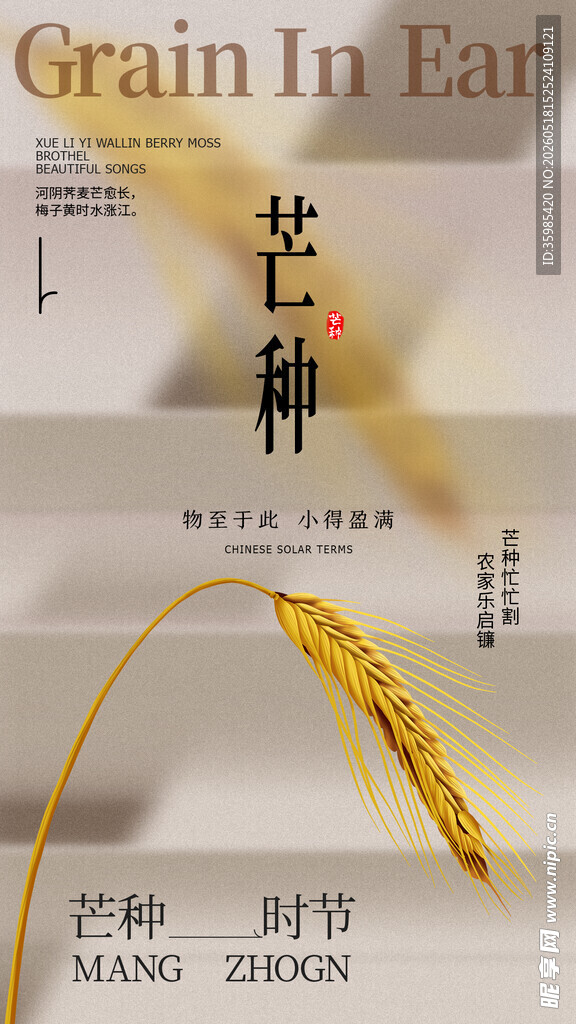 芒种
