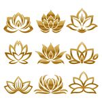 金色莲花纹样