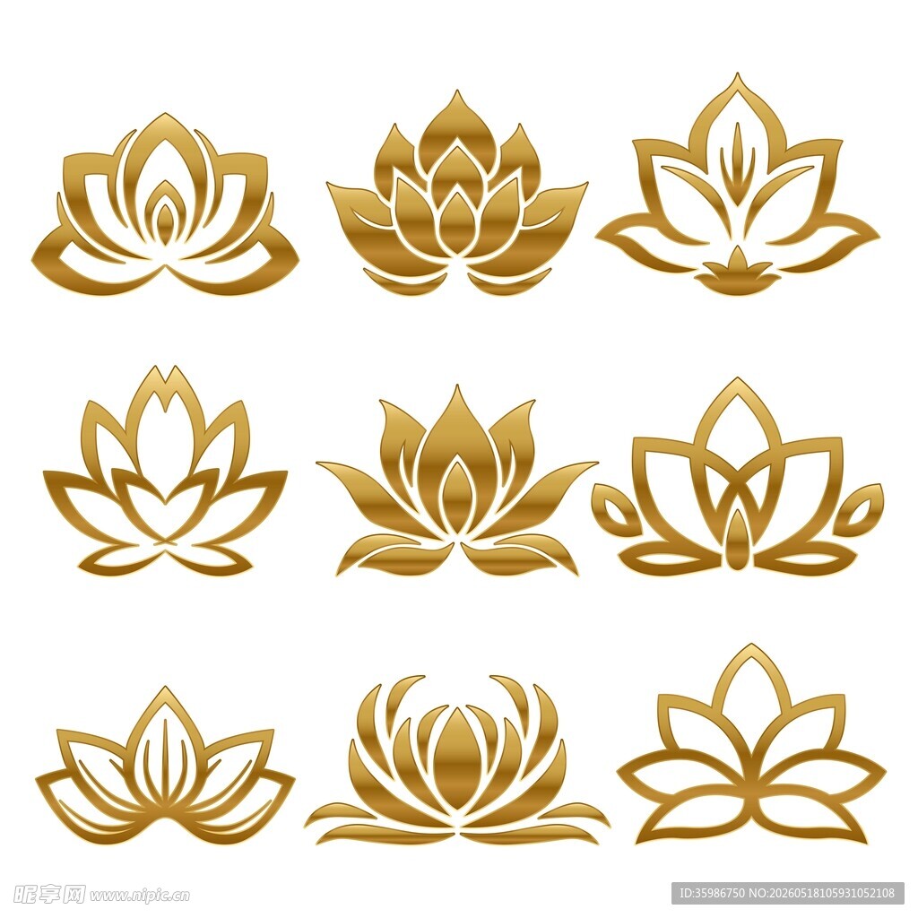 金色莲花纹样