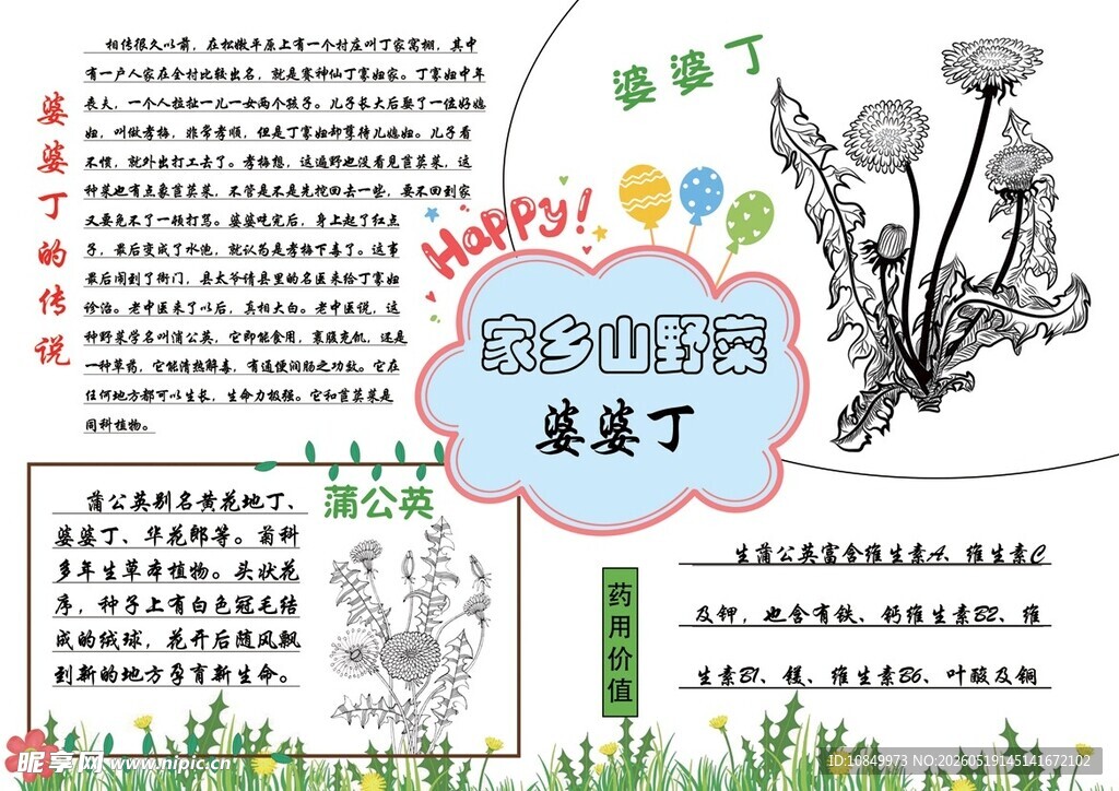 山野菜手抄报设计