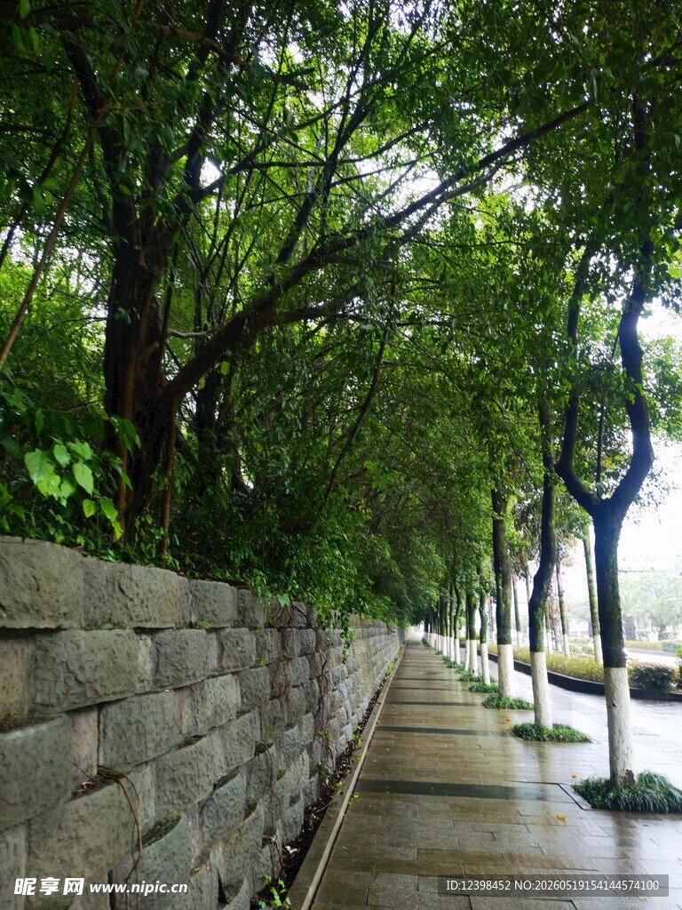 石墙边的林荫步道
