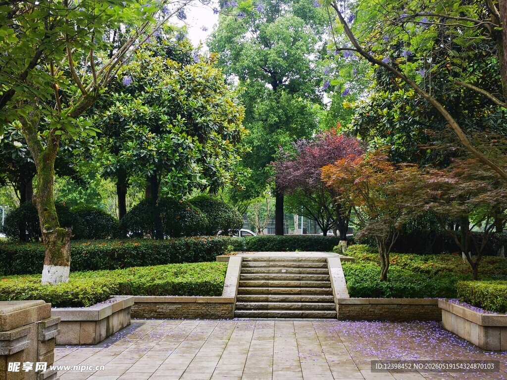 静谧公园林间步道景观