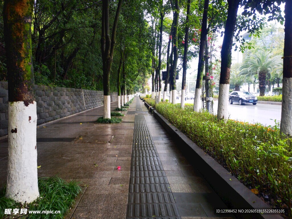 林荫步道