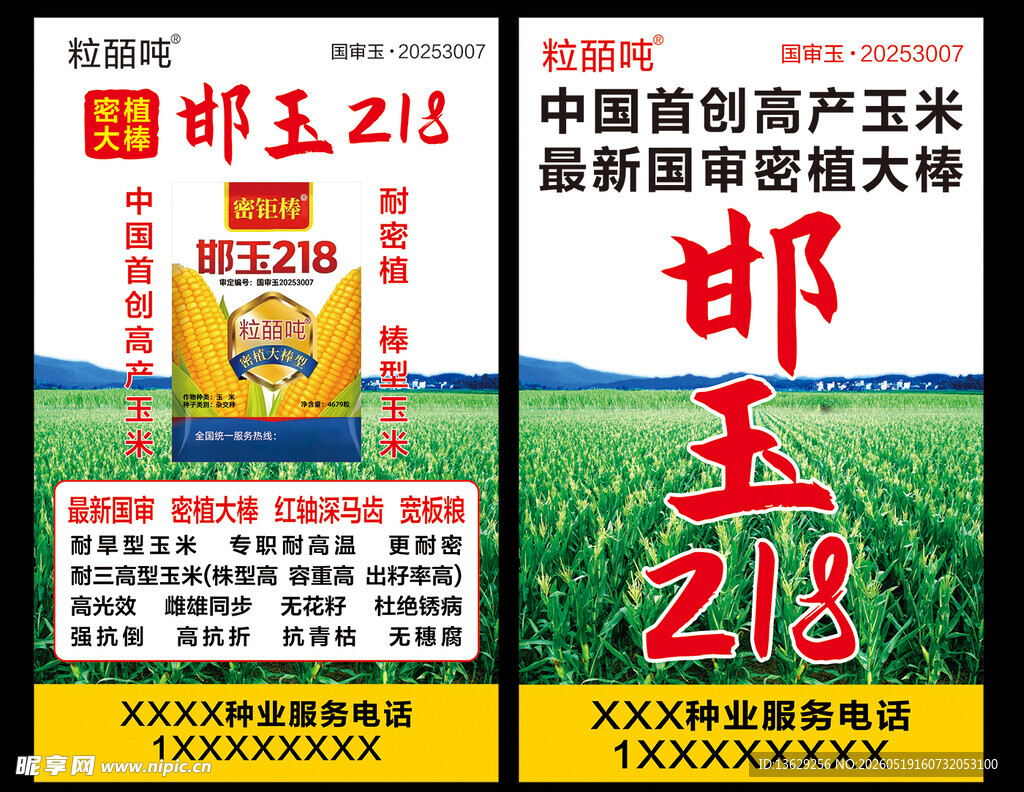 玉米种