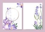 紫色花手绘素材