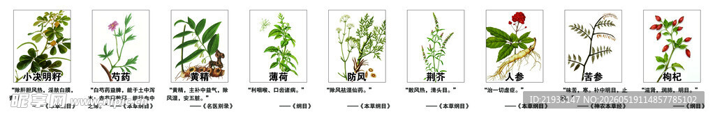 各种中药