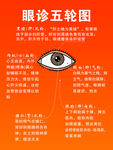 眼诊五轮图