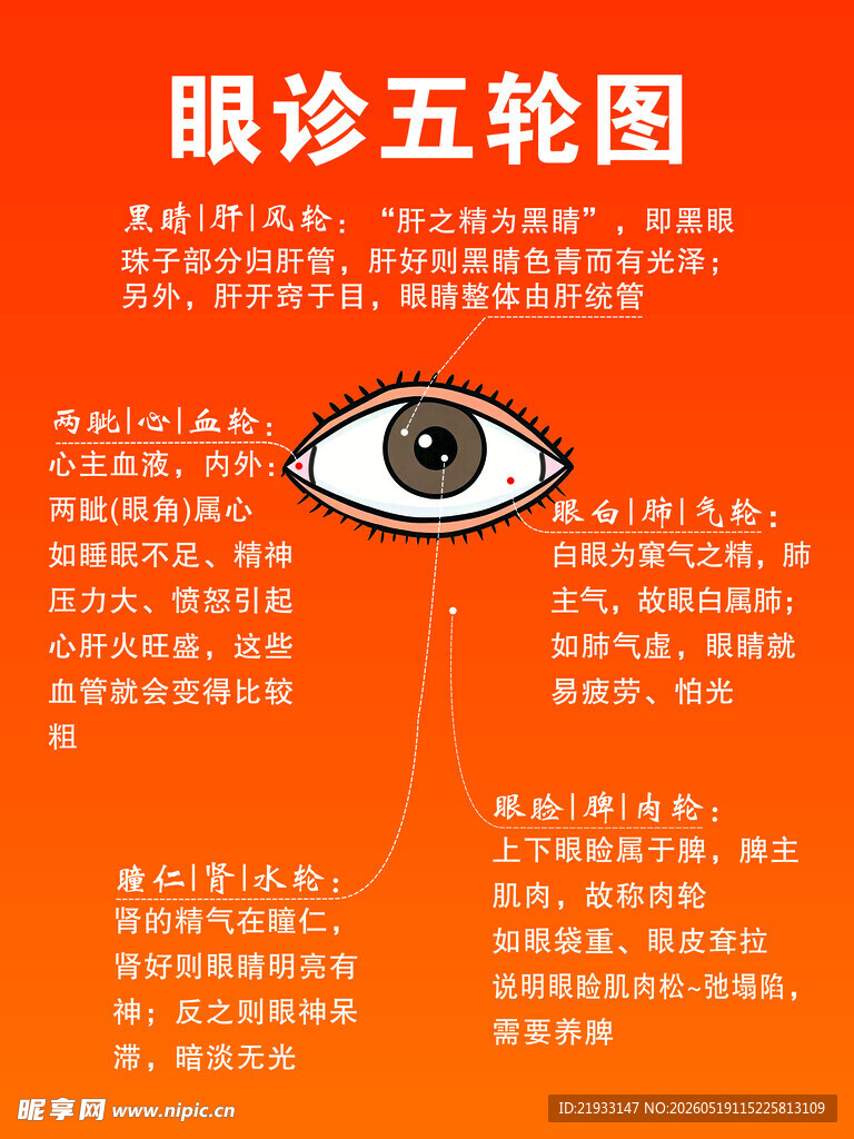 眼诊五轮图