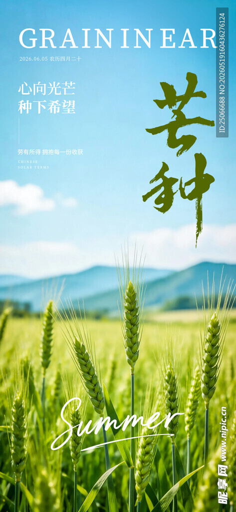 芒种