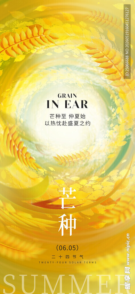 芒种