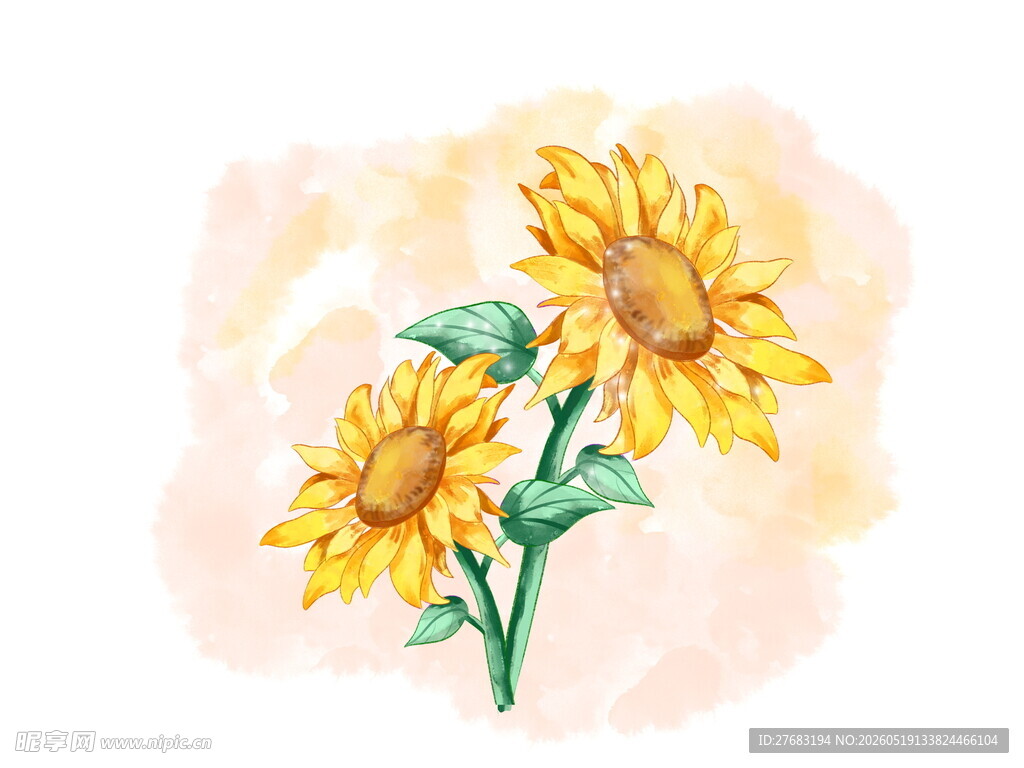 水彩绘向日葵花朵图案