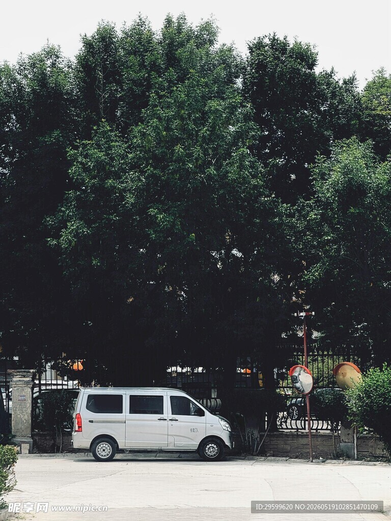 树下停放的白色面包车