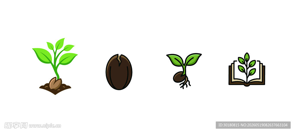 植物生长过程示意