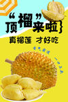 顶榴来啦 真榴莲才好吃