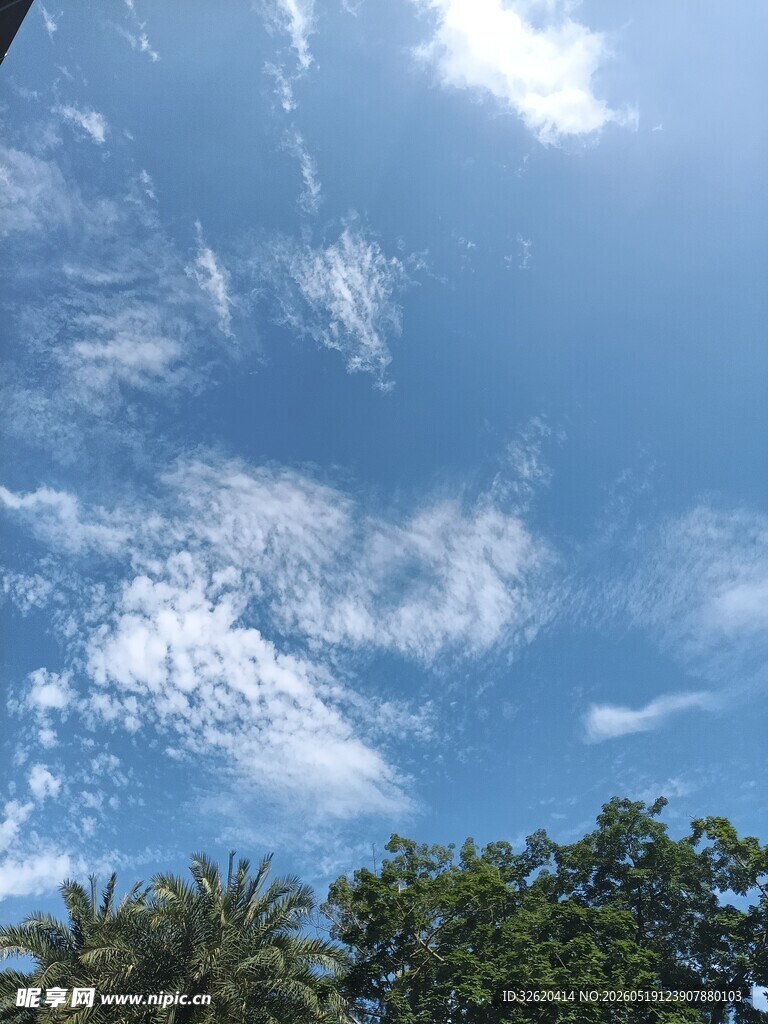 蓝天绿树间的白云美景