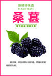 桑葚