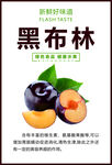 黑布林李子海报