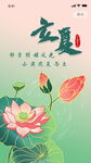立夏时节荷花绽放