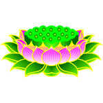 莲花