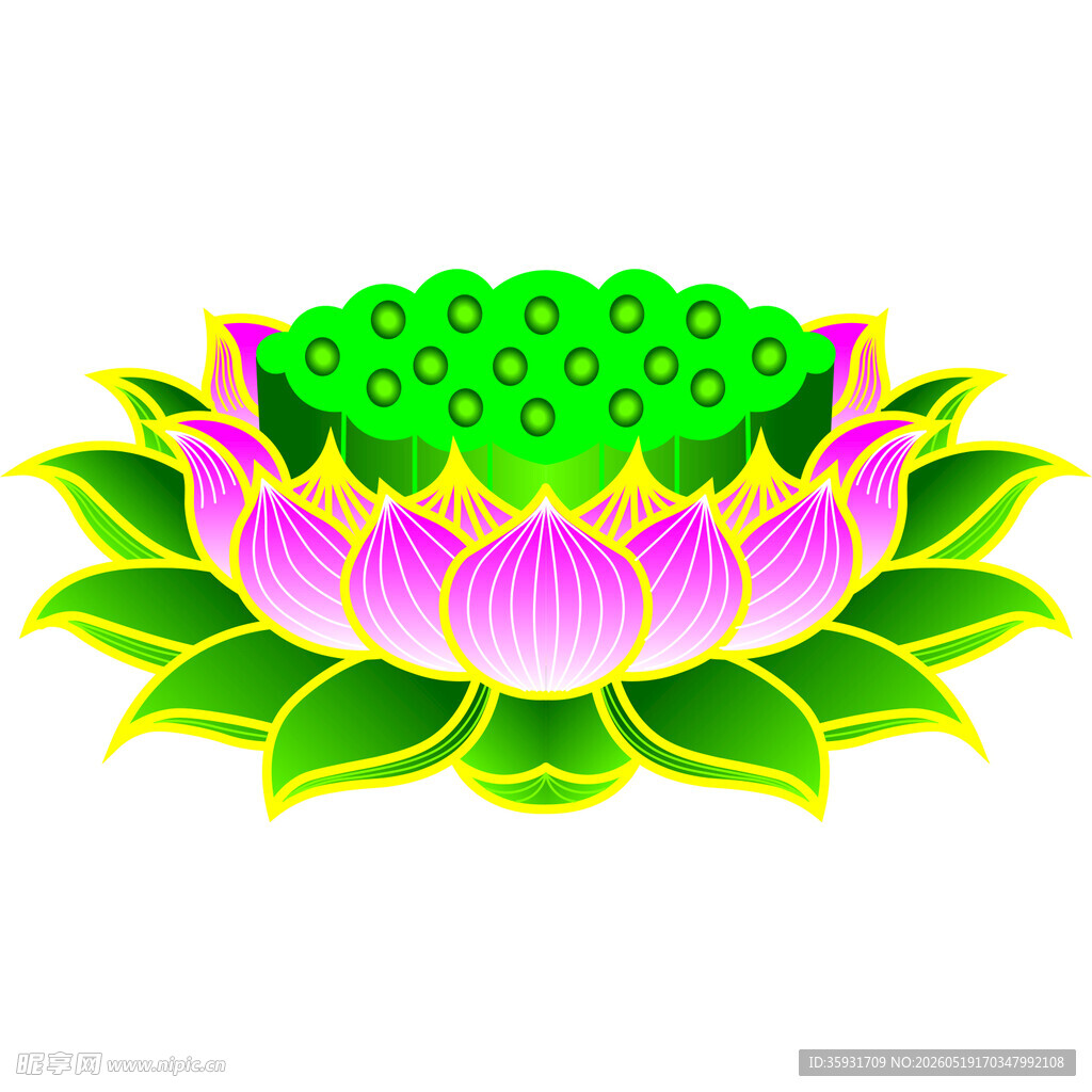 莲花