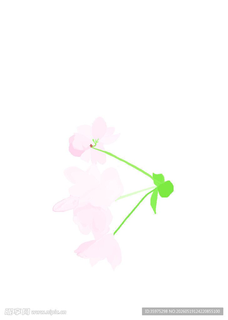 粉色花朵简洁插画