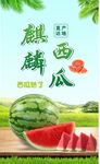 麒麟西瓜新鲜诱人