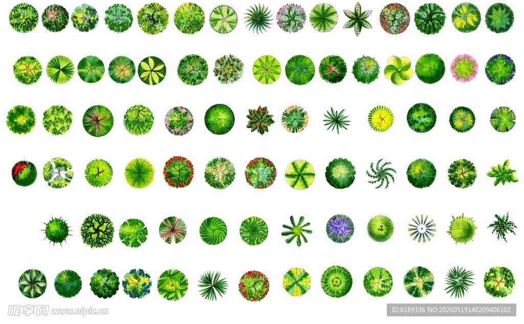 园林植物
