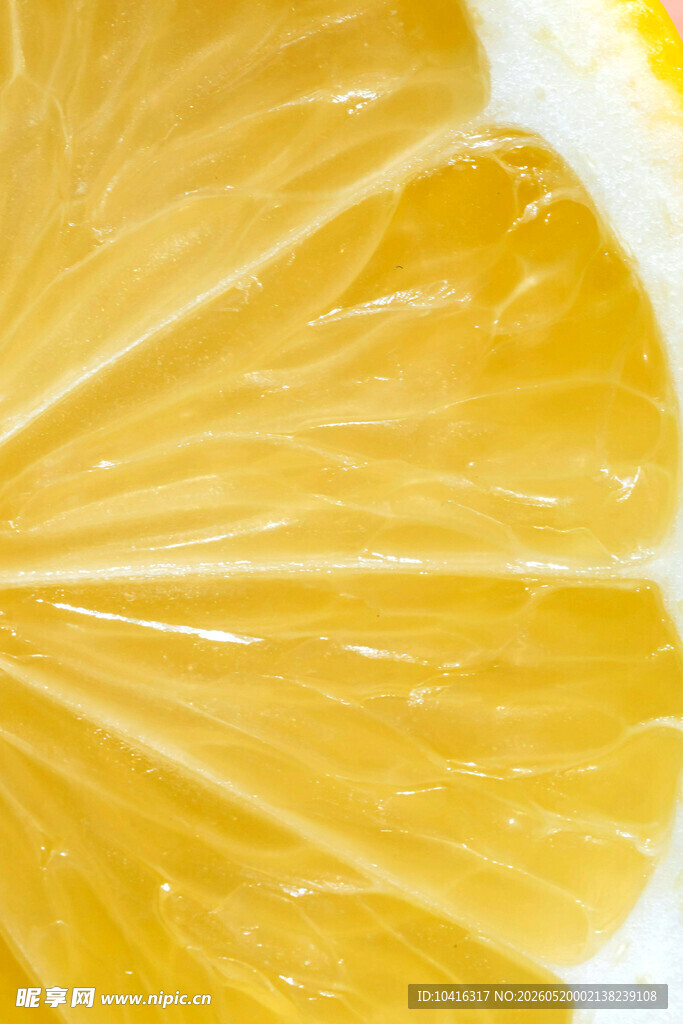 橙子切片特写